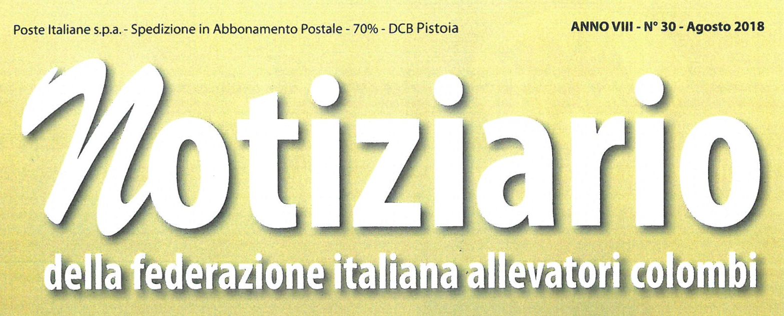 Notiziario