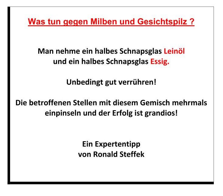 Was tun gegen Milben und Gesichtspilz 01