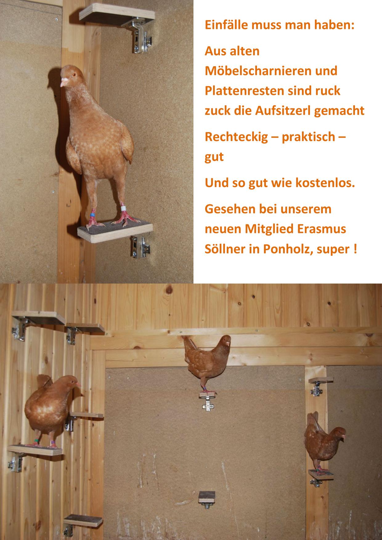 Aufsitzer Söllner