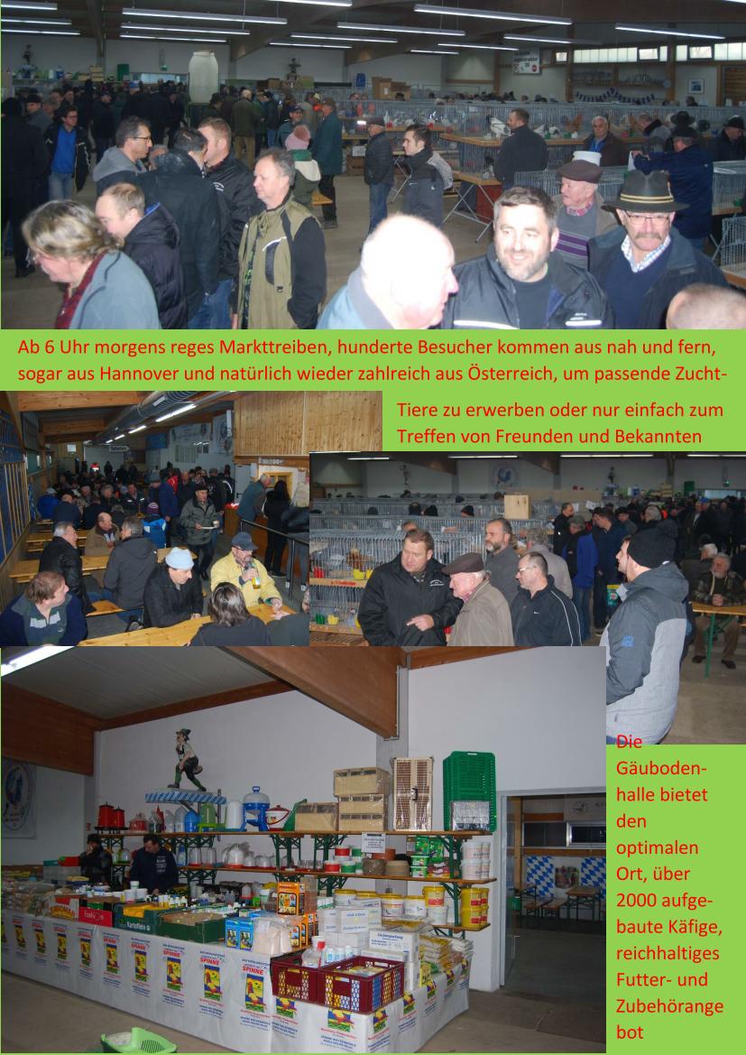 Markt 01