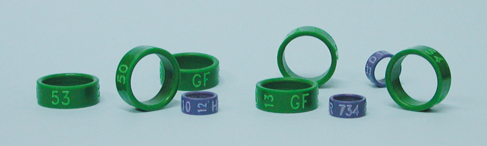 Ringe