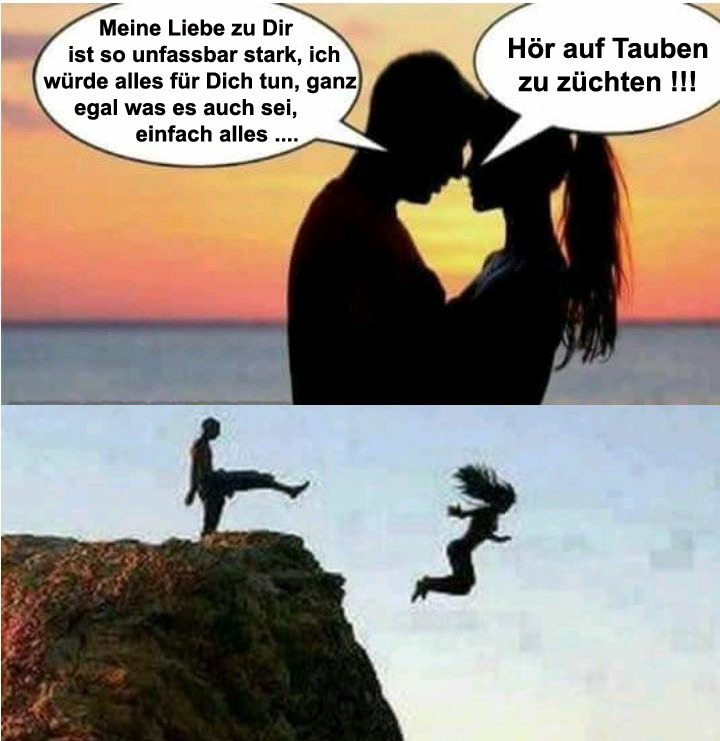 Taubenzüchten