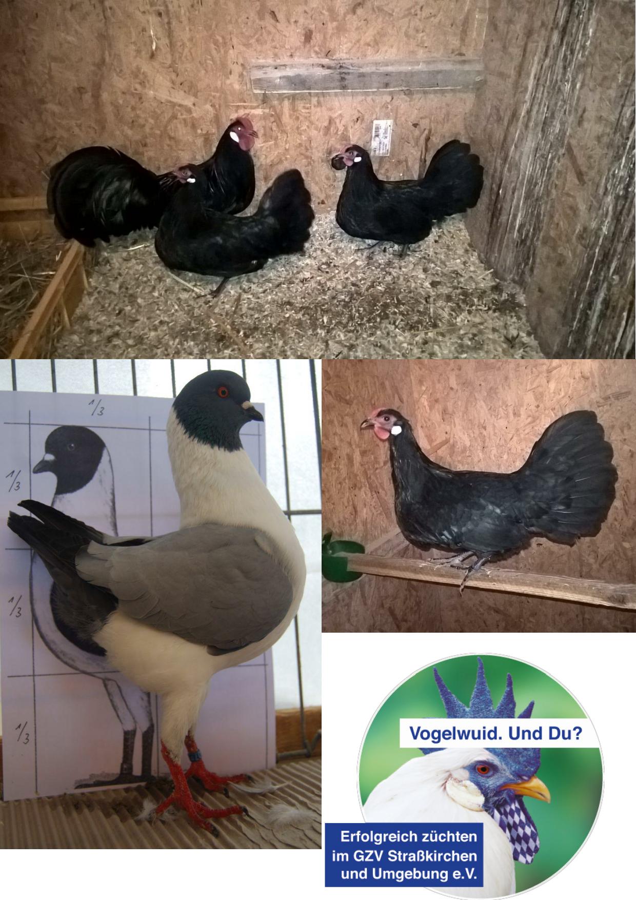 Verkauf 01