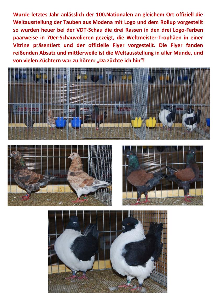 Vorstellung Flyer Leipzig 2019 02
