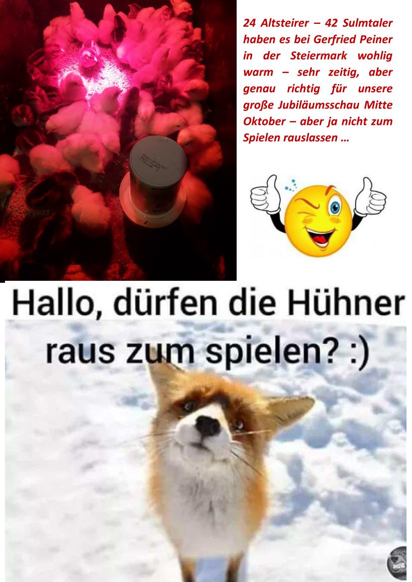 Altsteirer 01