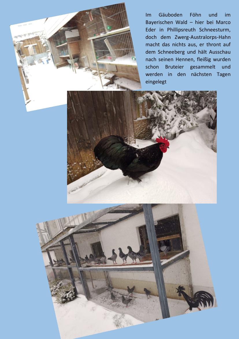 Eder Schnee 01