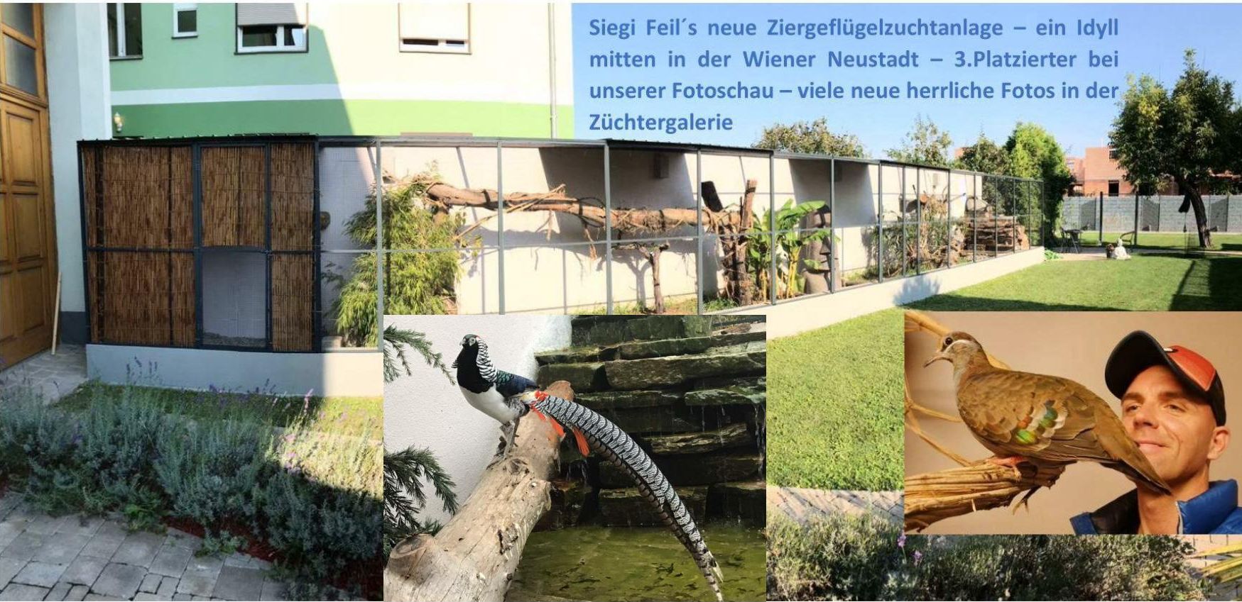 Feil neu 01