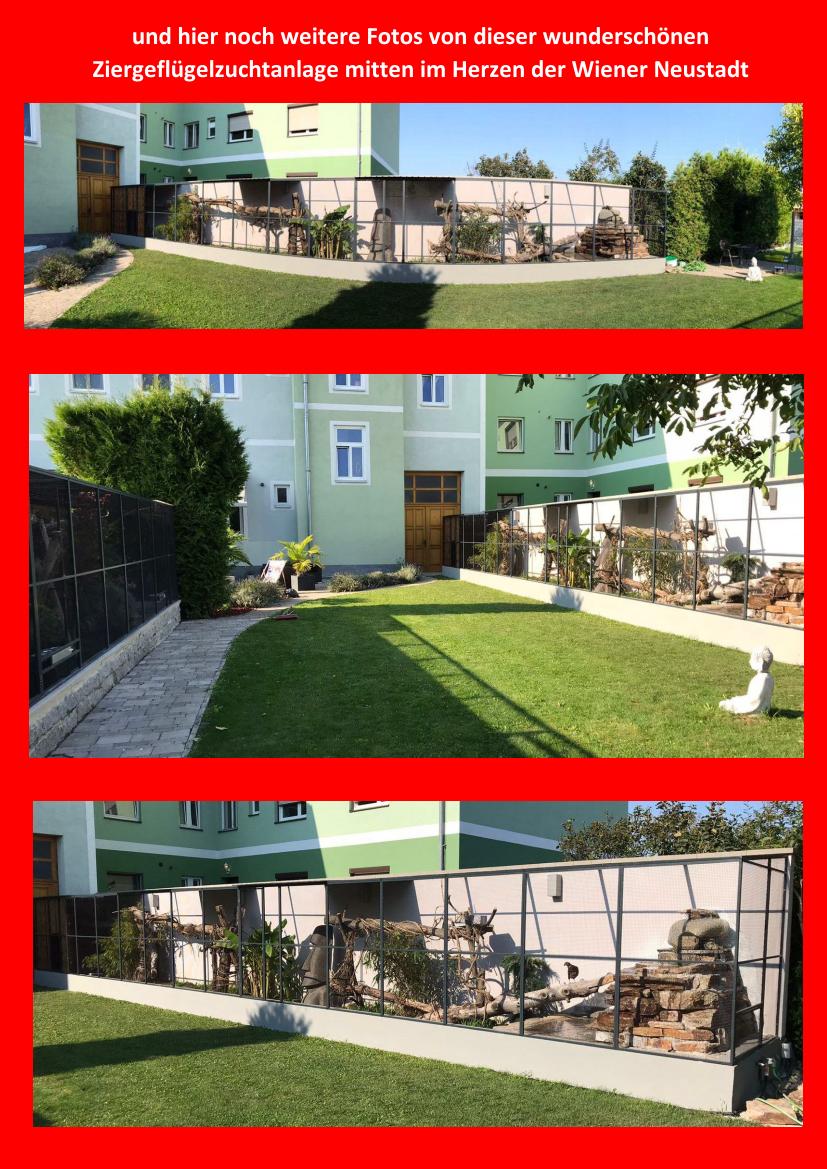 Feil sept2 01