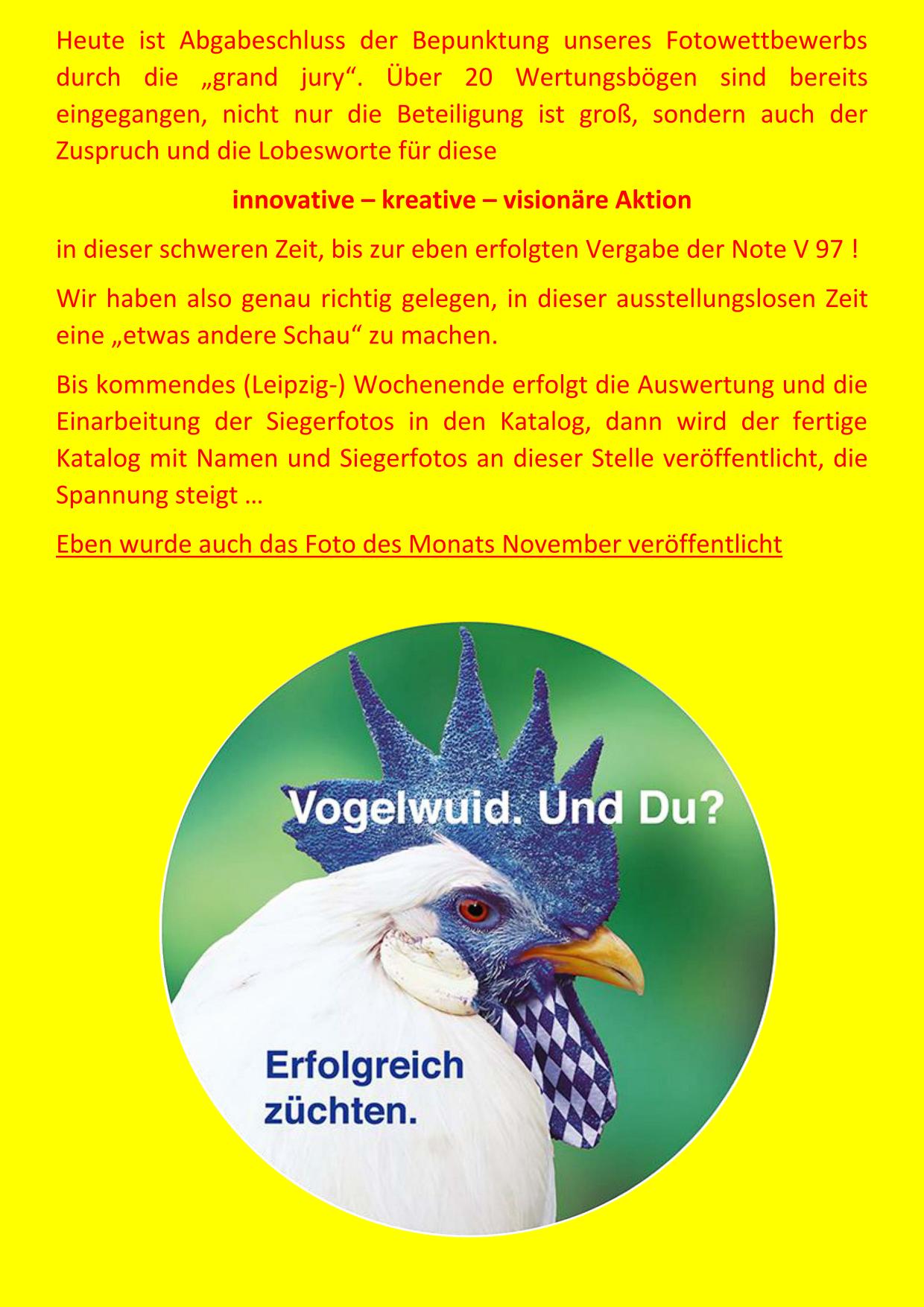 Fotoschau 01