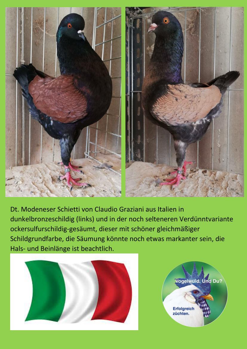 Graziani Sept 01