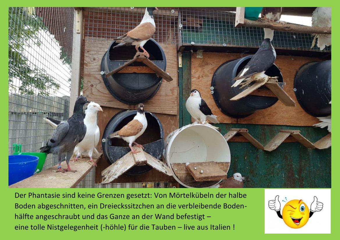 Mörtelkübel 01