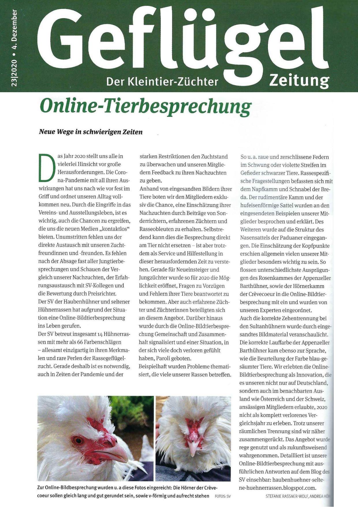 Online Tierbesprechung 01