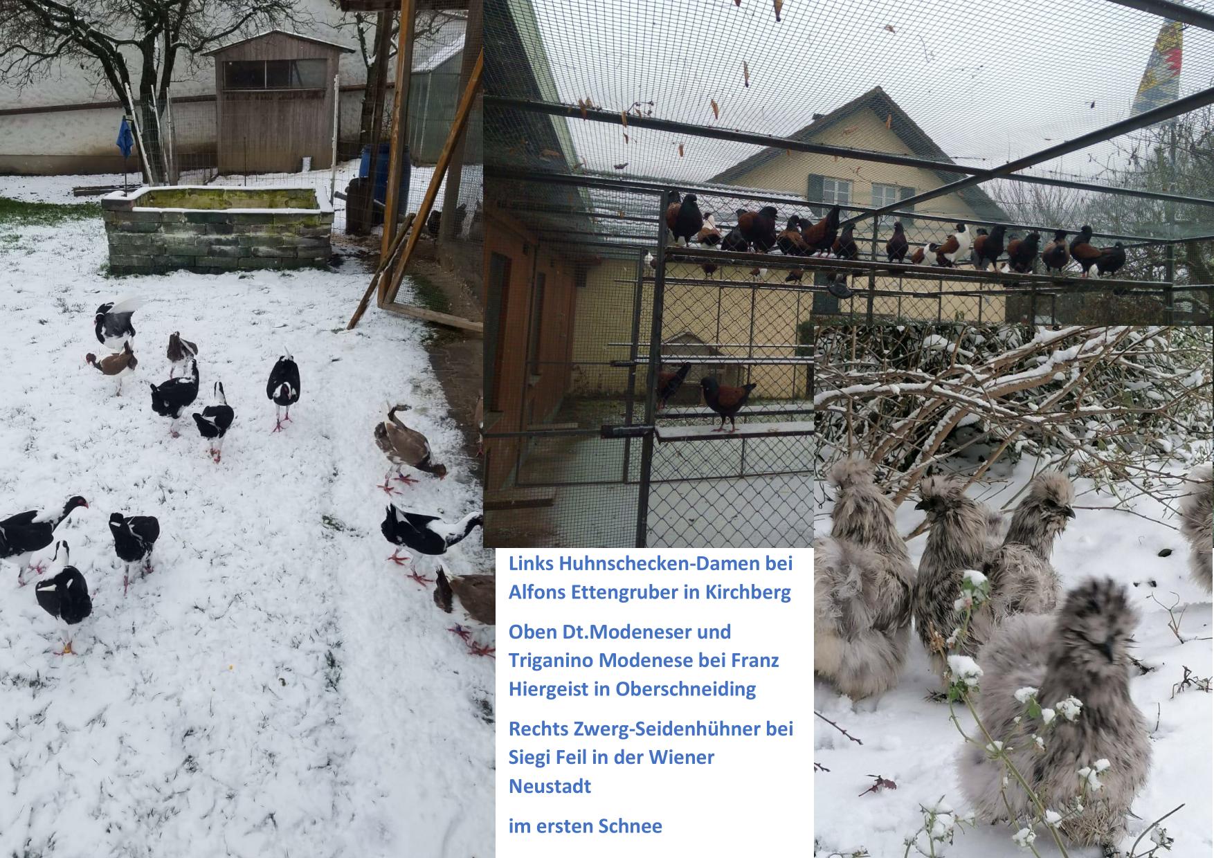 Schnee 01