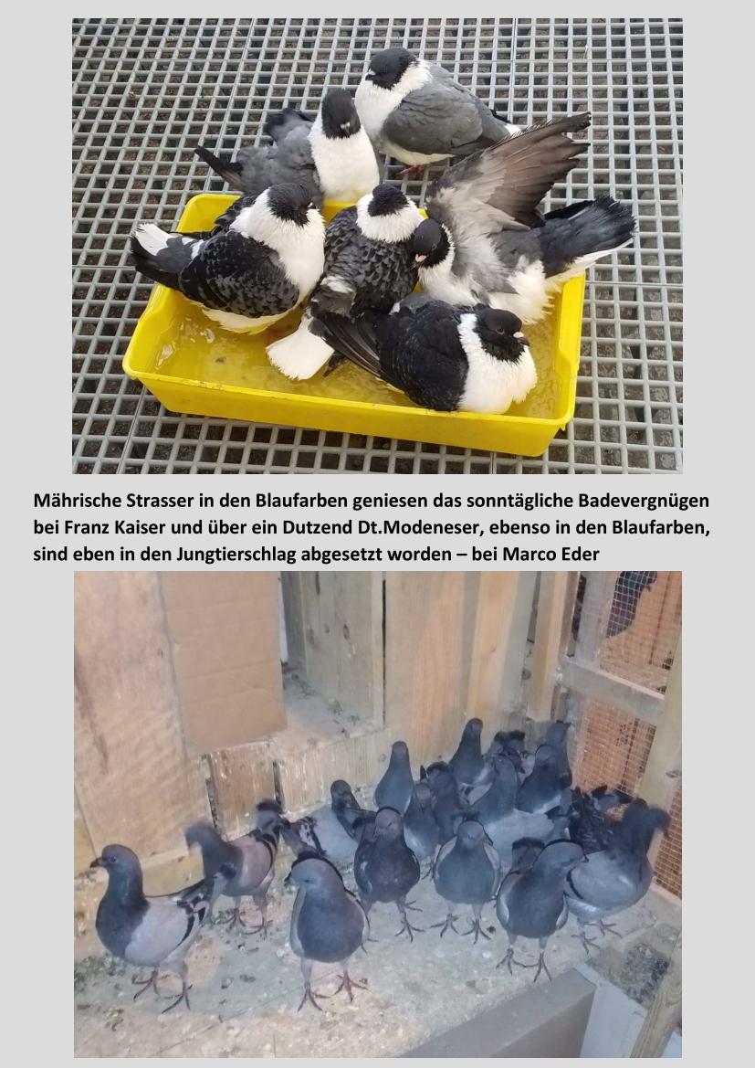 Sonntag 01
