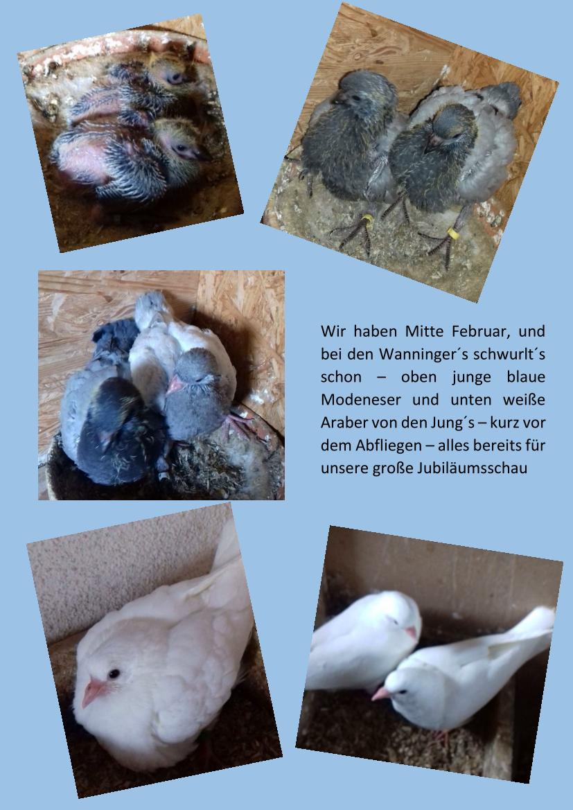 Wanninger Junge 01