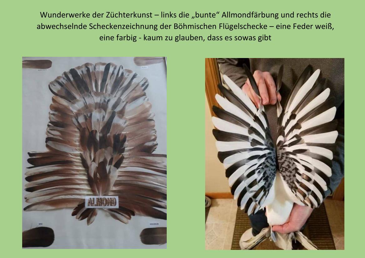 Wunderwerk 01