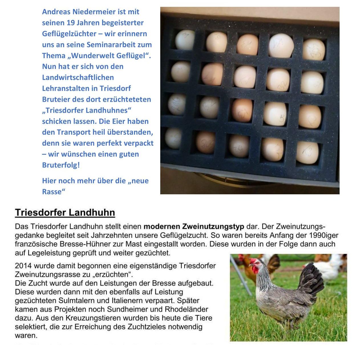 01 Niedermeier1