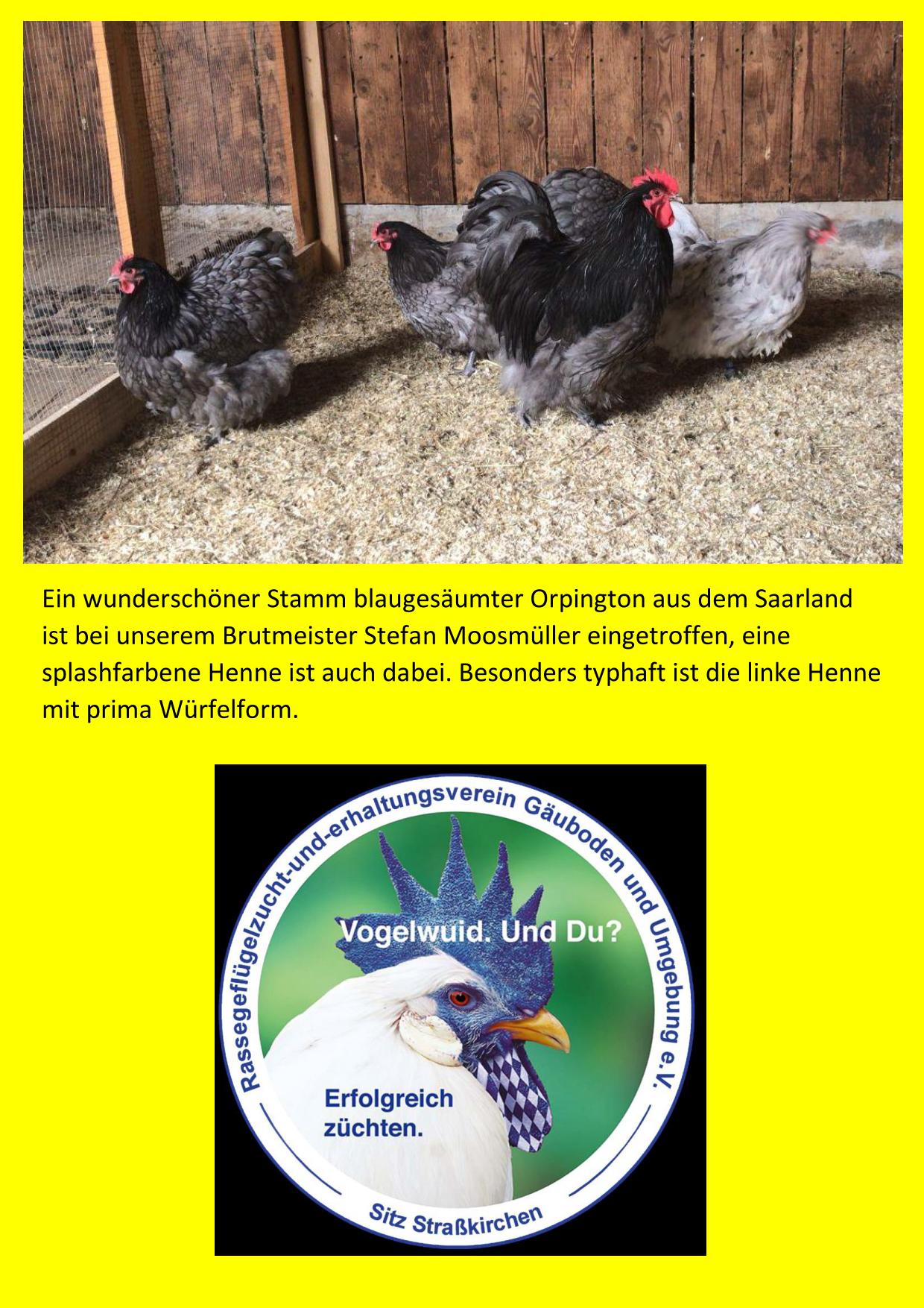 03 Moosmüller 01