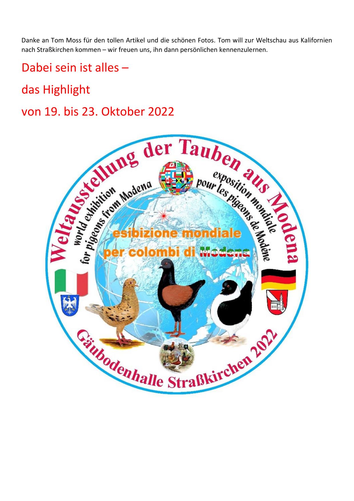 03 Entdeckung einer neuen Welt der Tauben in Italien bebildert neu 07