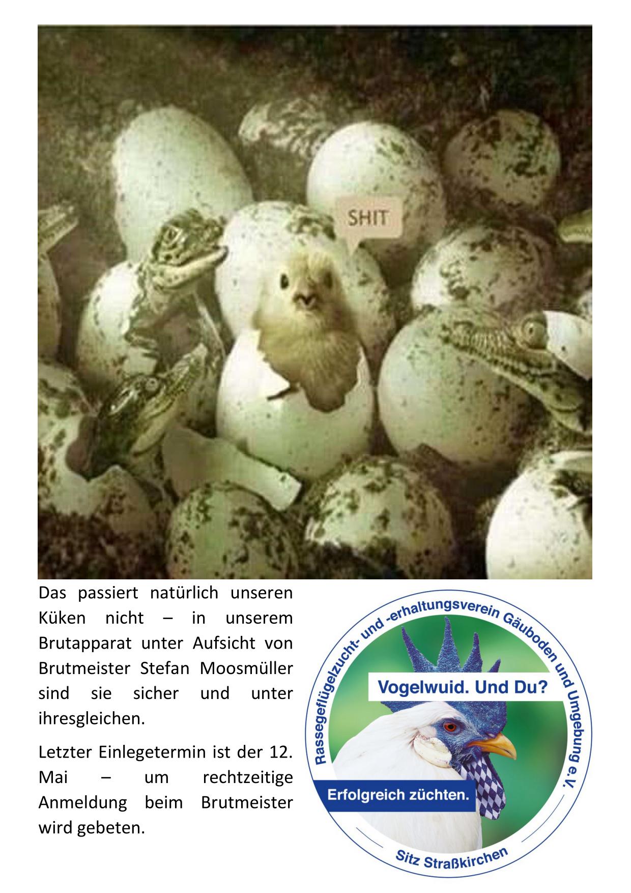 04 Brüterei 01