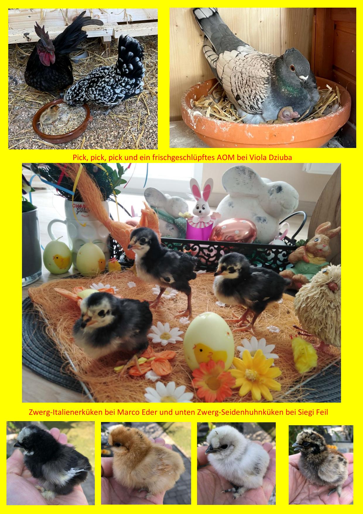 04 Ostergrüße 02
