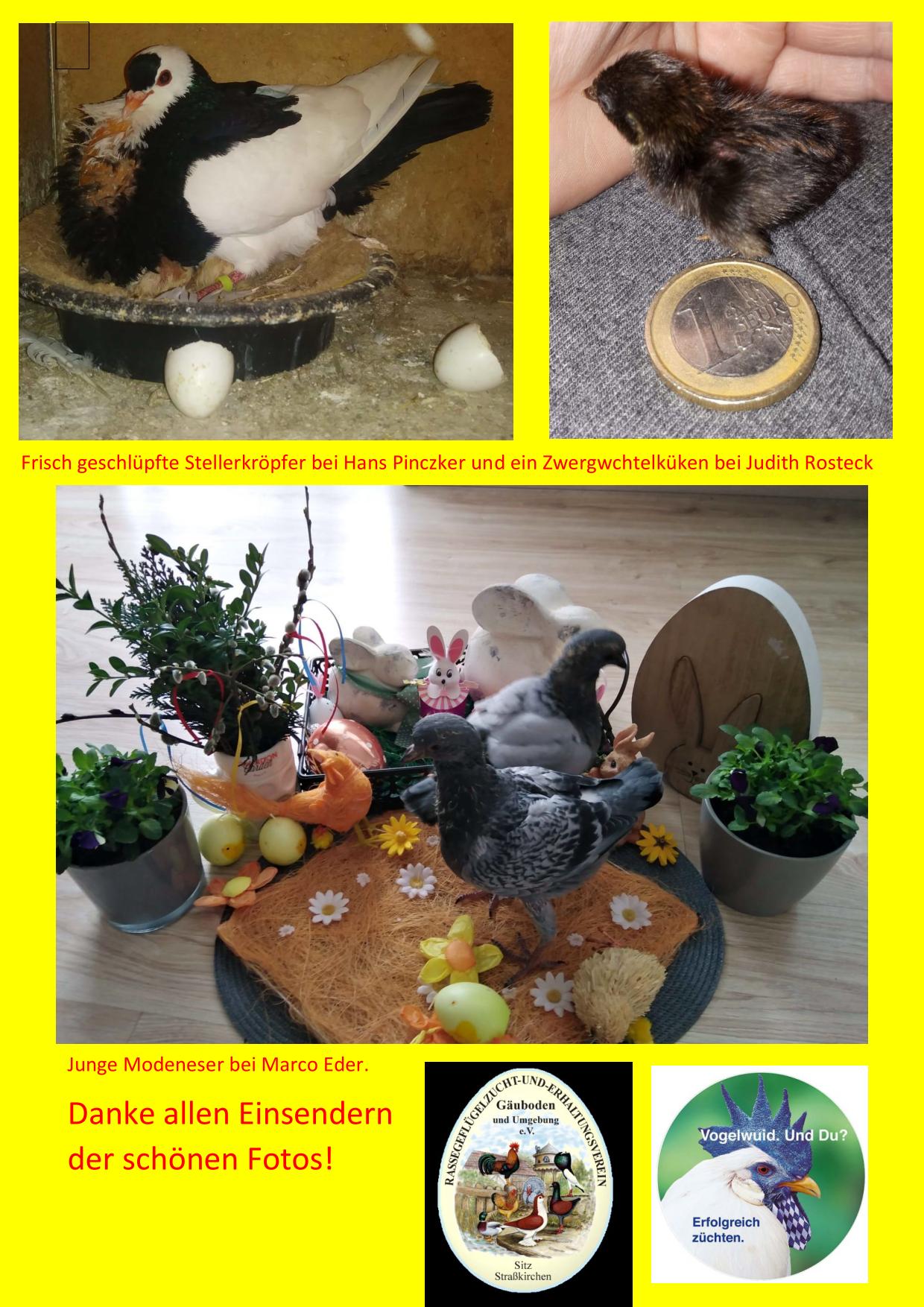 04 Ostergrüße 04