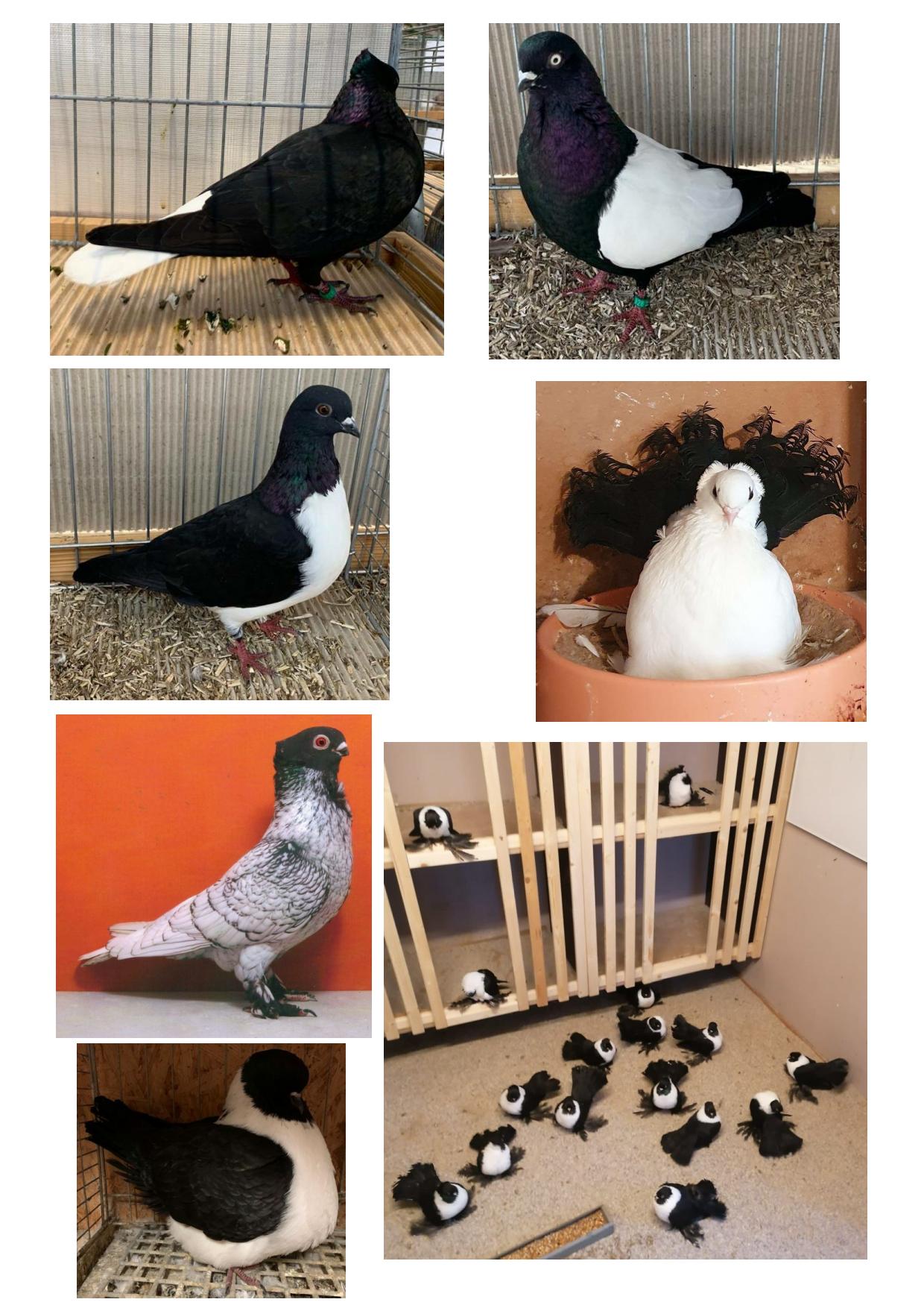 05 schwarz weiß 07