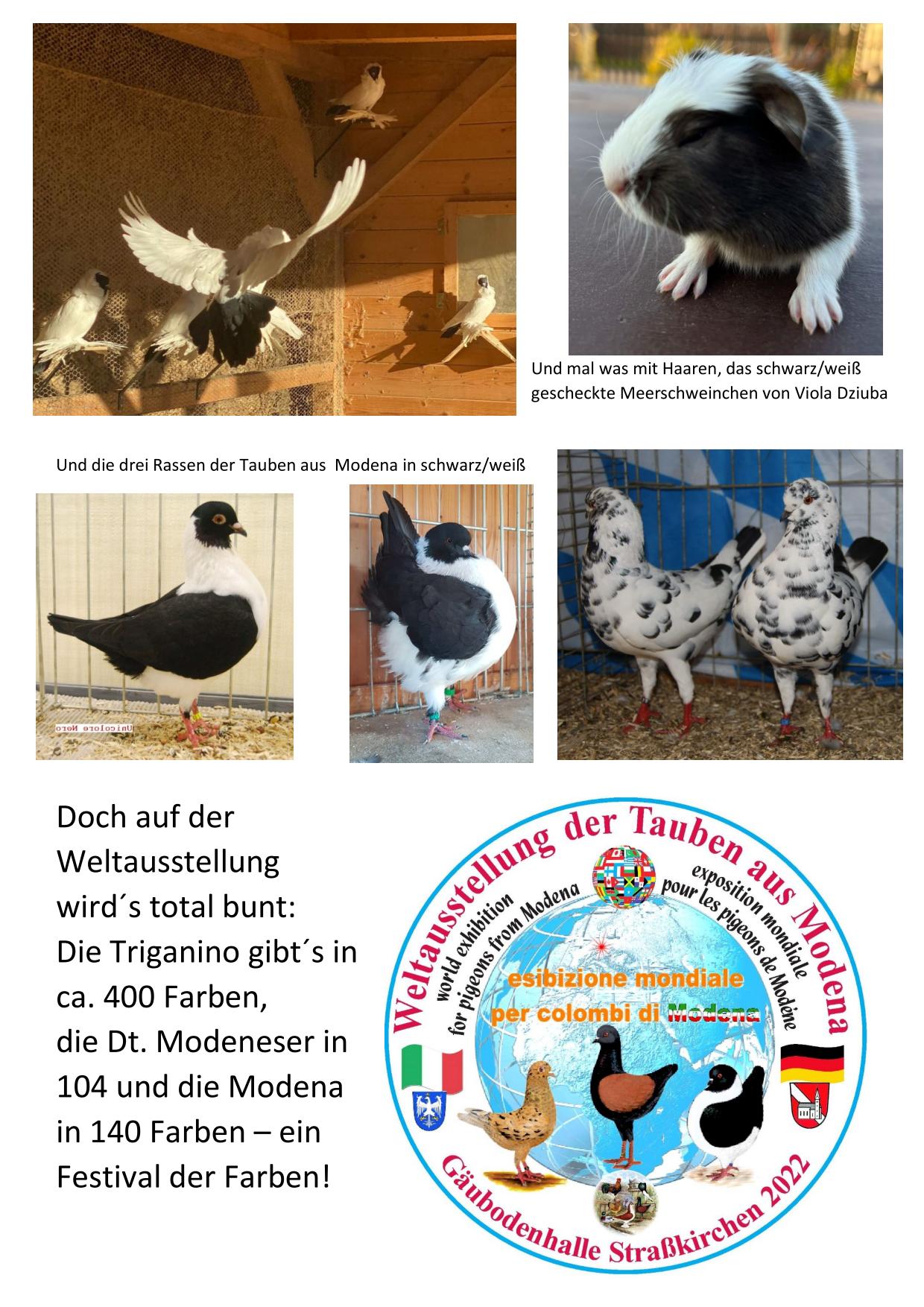 05 schwarz weiß 08