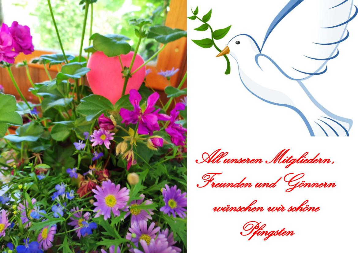 06 Pfingsten 01