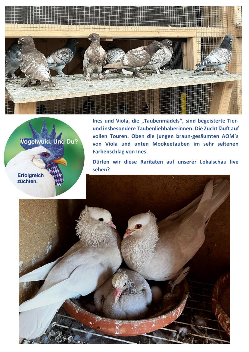 06 Taubenmädels 01