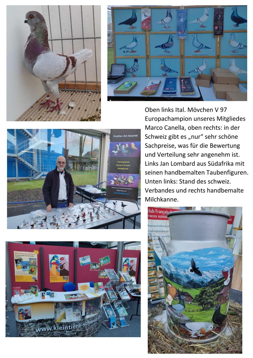 11 Schweiz 04