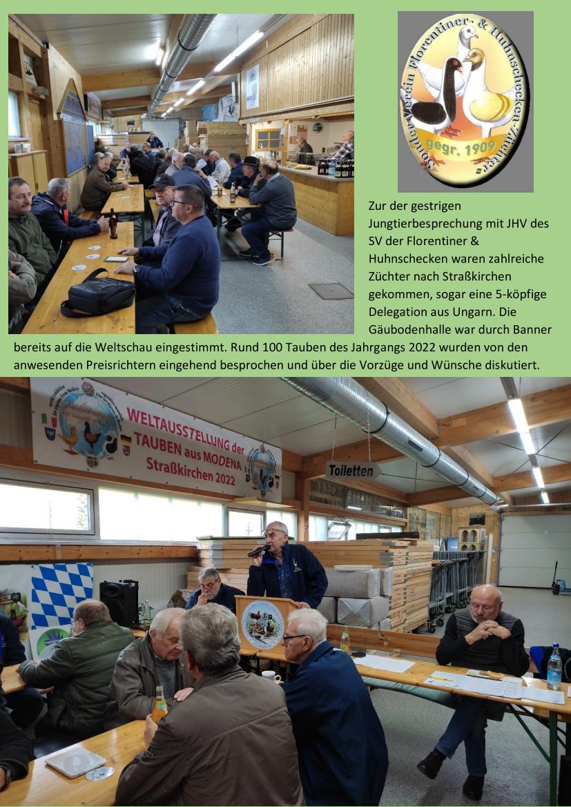9 Florentiner Huhnschecken 01