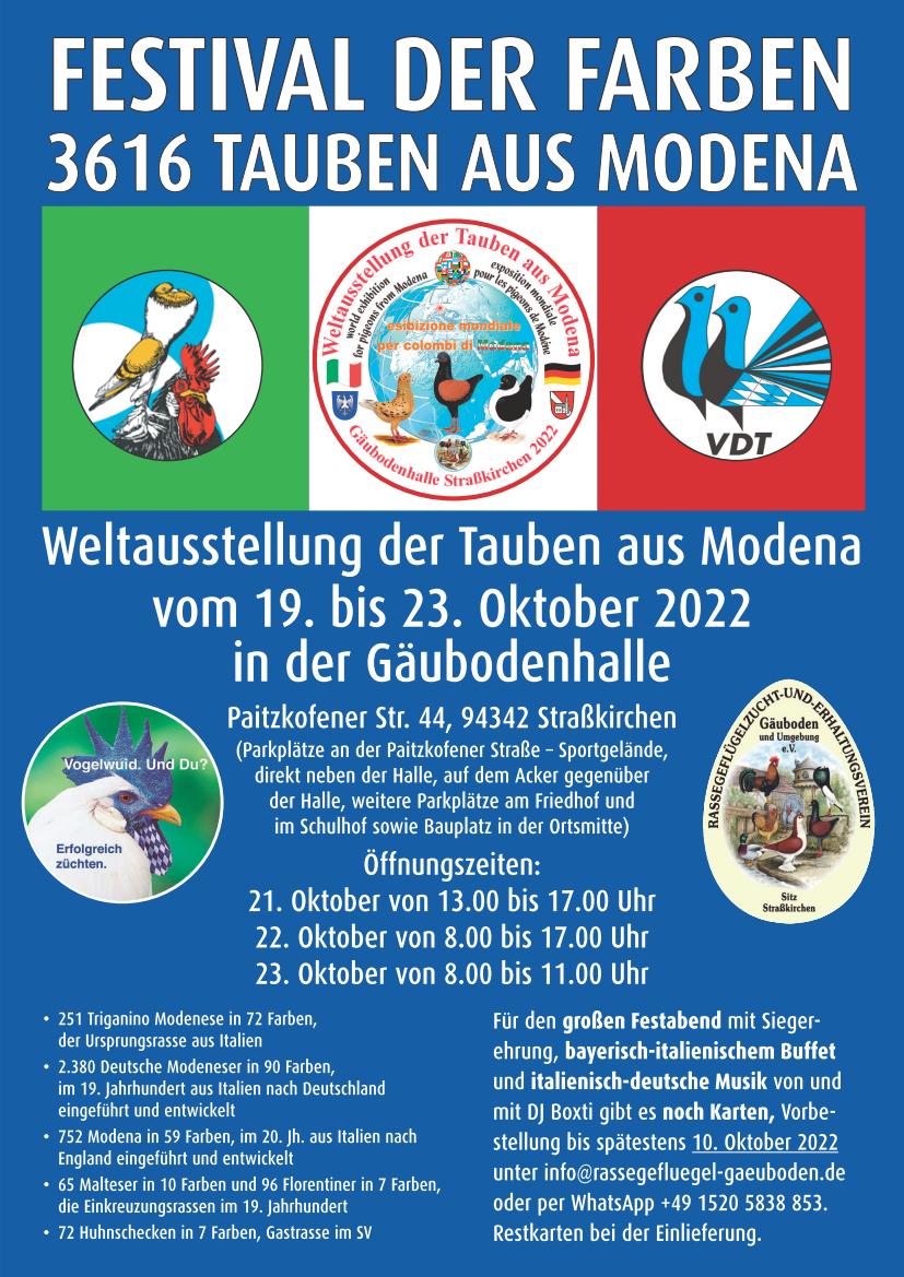 Festival der Farben 01