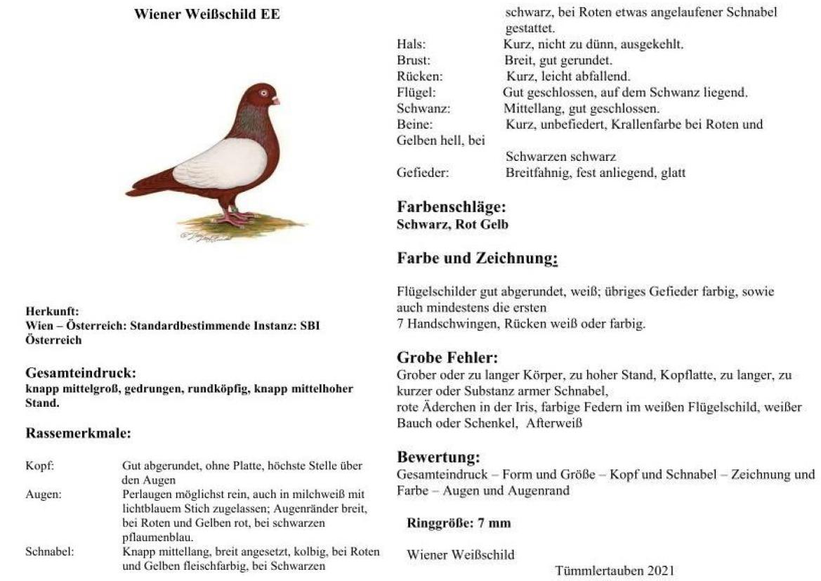 02 Feil WS 02