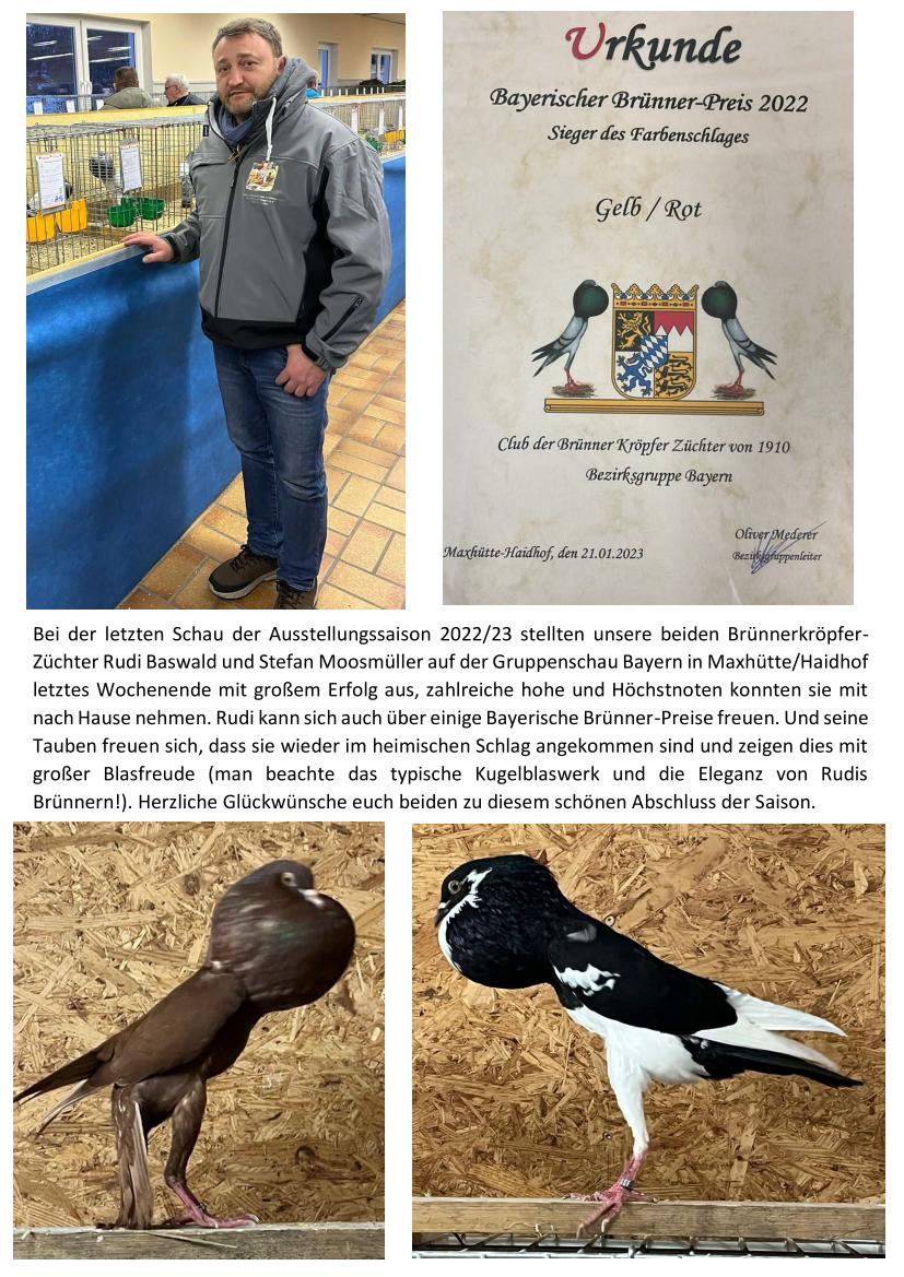 1 Brünnerschau 01