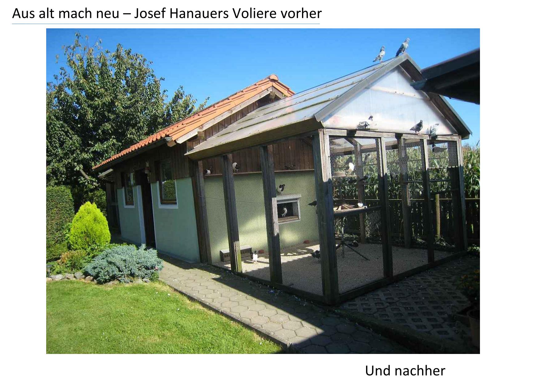 4 Hanauer1 01