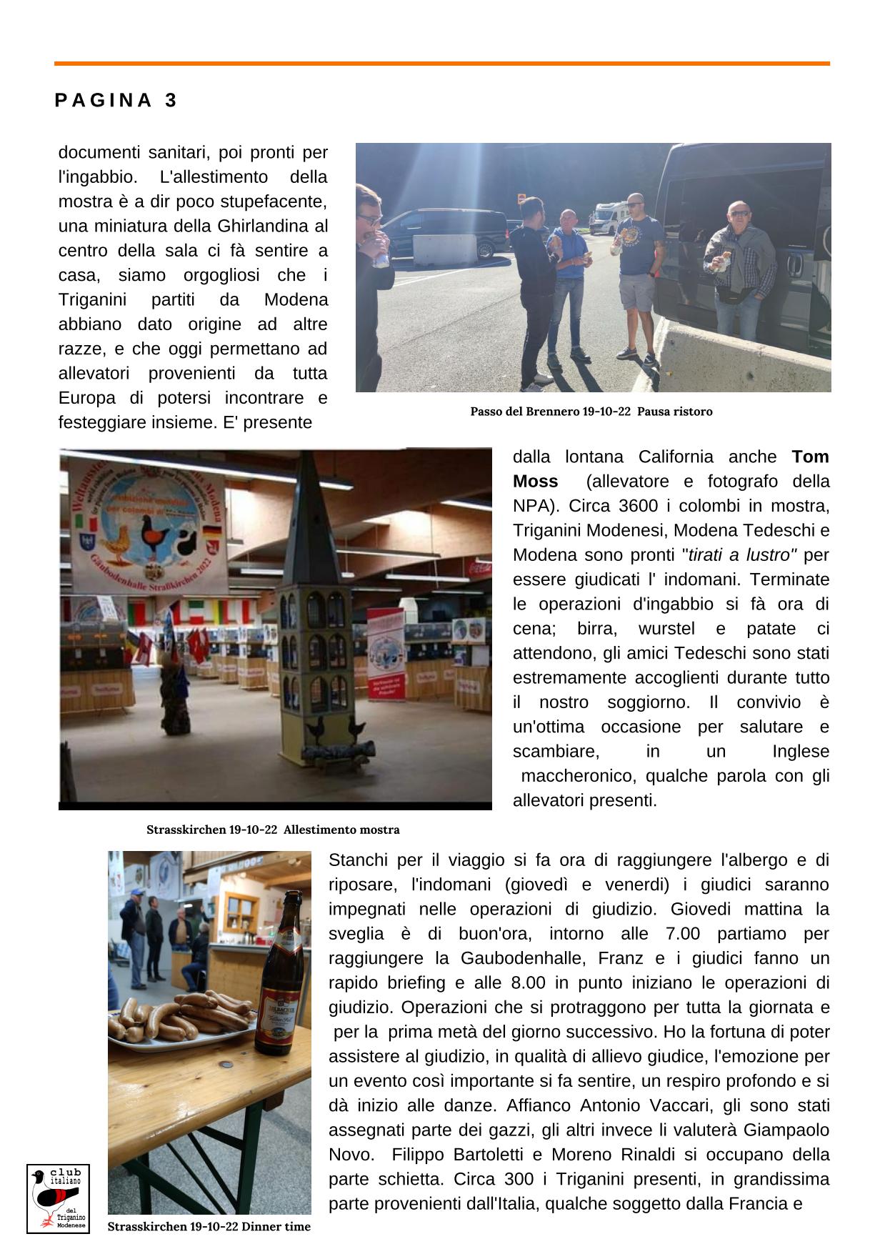 NEWSLETTER 5 04