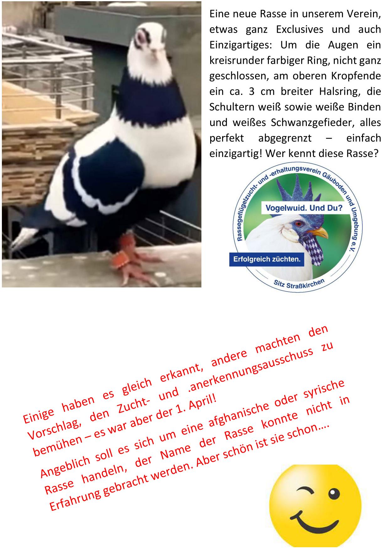 4 April Auflösung 01