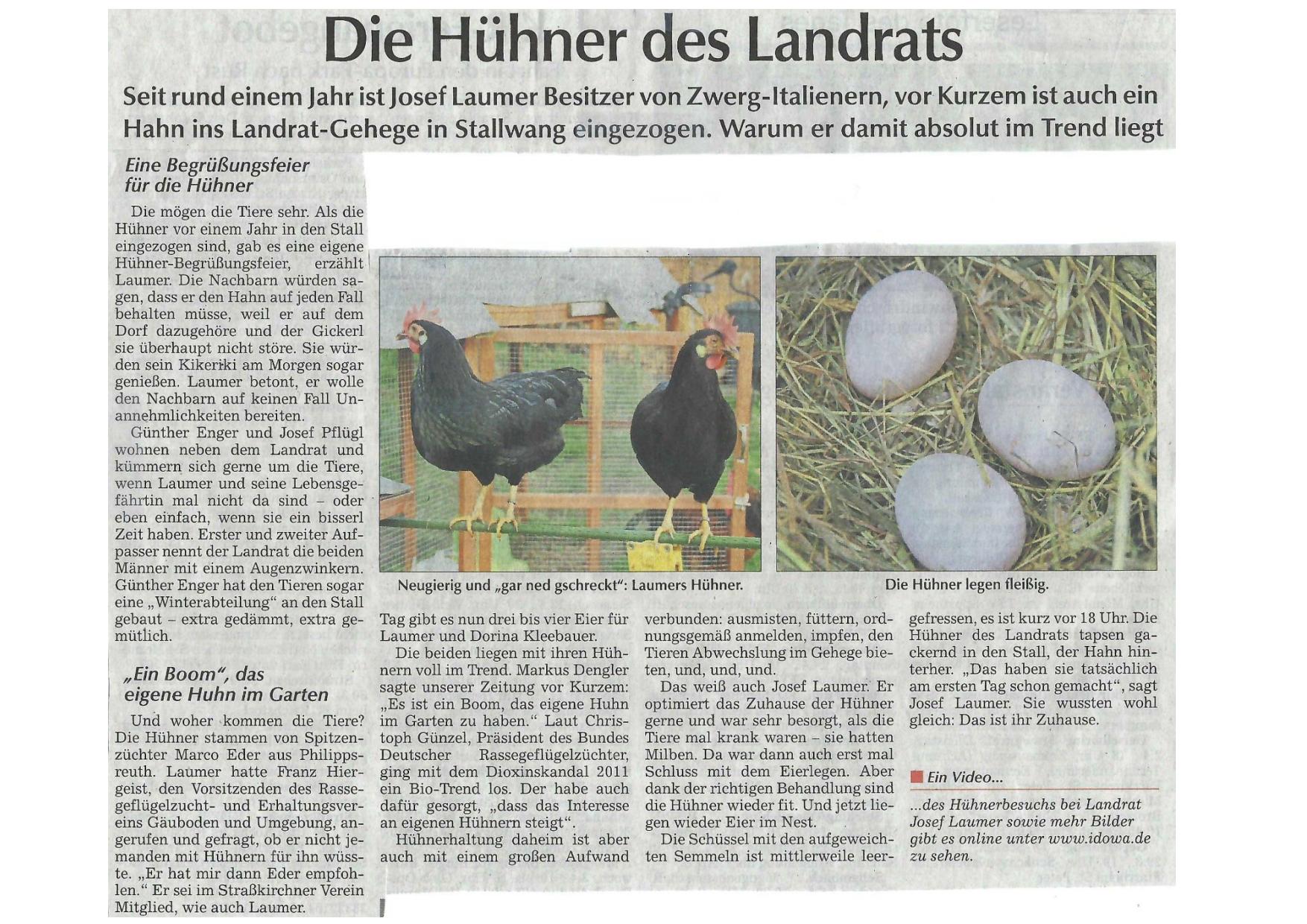 4 Hühner des Landrats 02