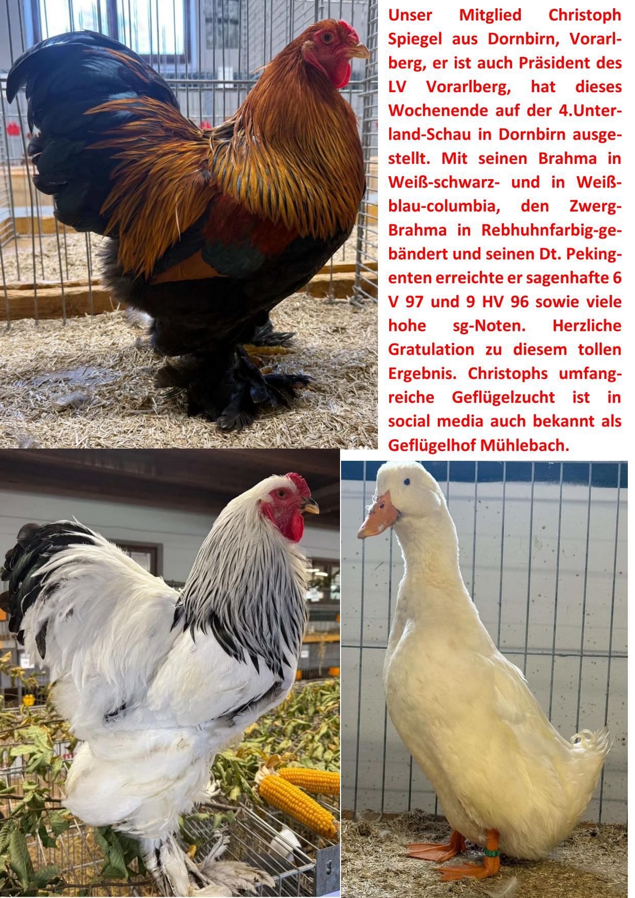 11 Spiegel 01