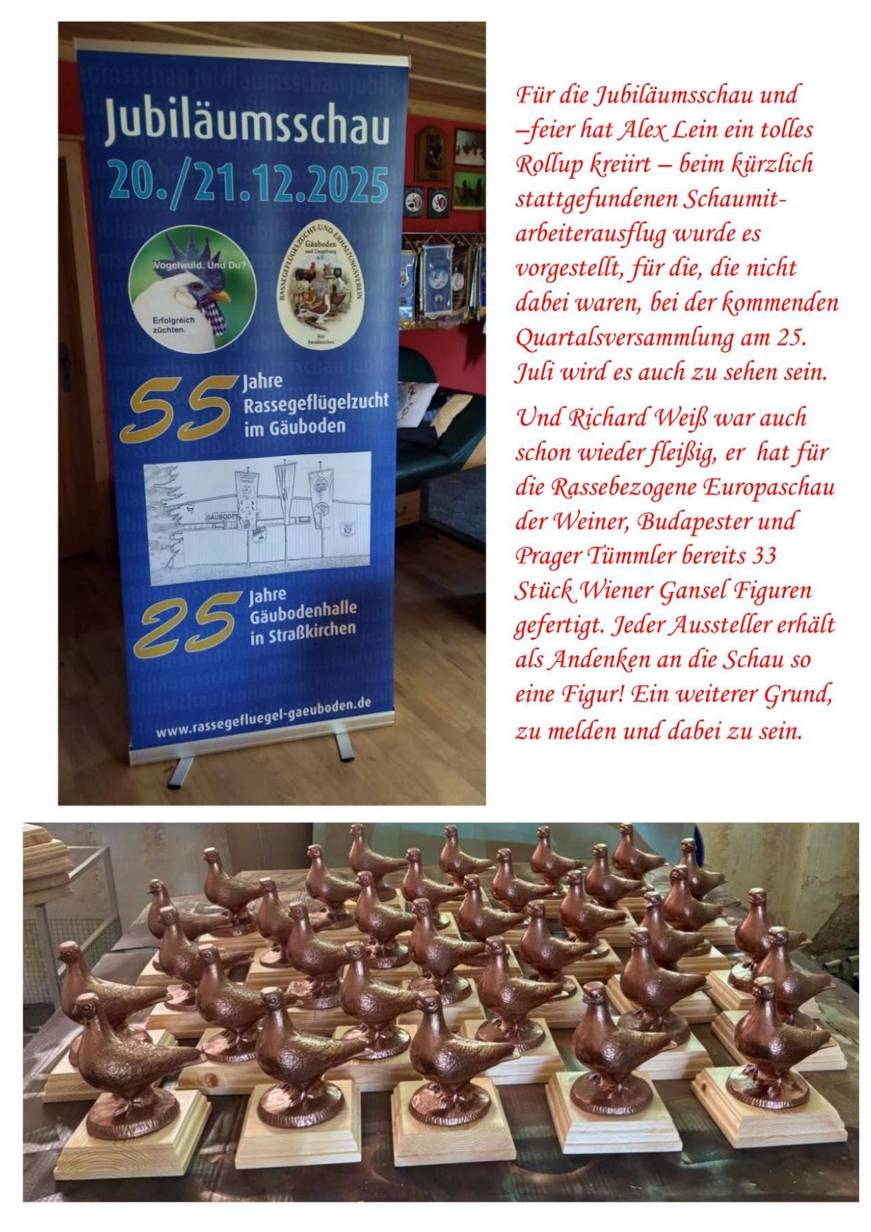 7 Rollup2 01
