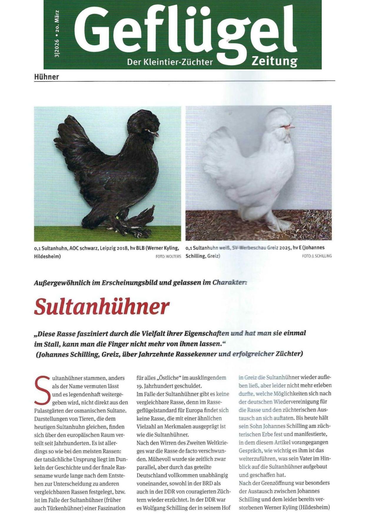 Sultanhühner 01