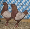 Stä
