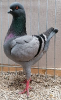 PR_Tiere_79
