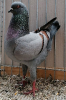 PR_Tiere_81