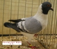 Italien_22