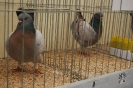 Italien_25