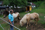 Austria_196