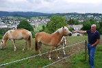 Austria_216