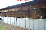 Austria_39